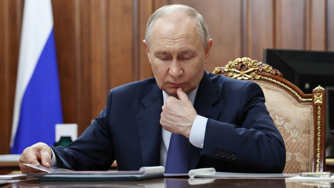 putin g20 summit