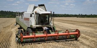 Ukraine Harvests 33 Million Tonnes of Grains and Legumes: Which Crops Have Already Been Threshed grain harvest in ukraine