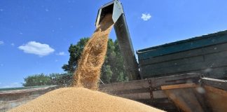 Transit of Russian grain through Latvia increased 2.3-fold russian grain transit latvia