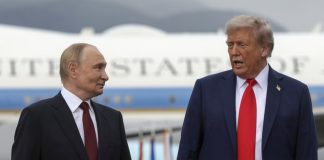 Zelenskyy Says Trump Respects Putin, Suggests New US-Russia Deals zelensky trump putin
